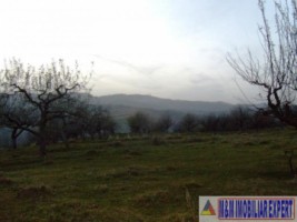 teren-8600-mp-extravilan-de-vanzare-in-boteni-arges-1