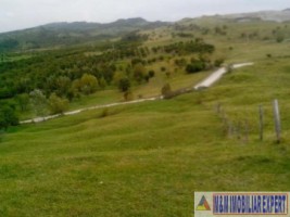 teren-8600-mp-extravilan-de-vanzare-in-boteni-arges-3
