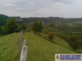 teren-8600-mp-extravilan-de-vanzare-in-boteni-arges-4