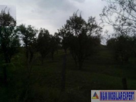 teren-8600-mp-extravilan-de-vanzare-in-boteni-arges-6
