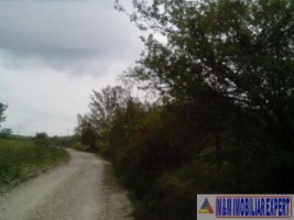 teren-8600-mp-extravilan-de-vanzare-in-boteni-arges-7