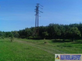 teren-900-mp-extravilan-de-vanzare-in-boteni-arges-oportunitate-pentru-dezvoltare-6