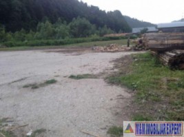 teren-intravilan-15-ha-de-vanzare-rucar-arges-2