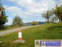 padure-55-ha-si-teren-3-ha-25-ha-de-vanzare-in-aninoasa-arges-2