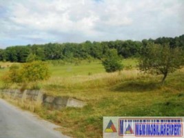 padure-55-ha-si-teren-3-ha-25-ha-de-vanzare-in-aninoasa-arges-5