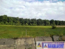 padure-55-ha-si-teren-3-ha-25-ha-de-vanzare-in-aninoasa-arges-6