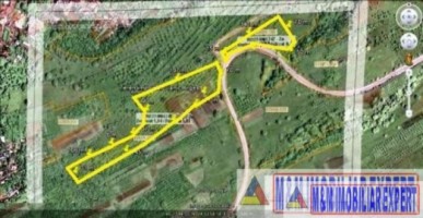 padure-55-ha-si-teren-3-ha-25-ha-de-vanzare-in-aninoasa-arges-7
