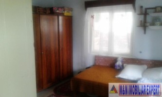 vand-casa-cu-4-camere-si-teren-de-2500-mp-in-matau-mioarele-suslanesti-arges-4
