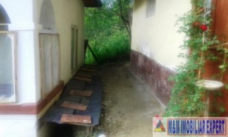 vand-casa-cu-4-camere-si-teren-de-2500-mp-in-matau-mioarele-suslanesti-arges-7