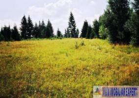 teren-extravilan-de-2615-mp-de-vanzare-in-dambovicioara-podul-dambovitei-arges
