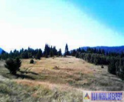 teren-extravilan-de-2615-mp-de-vanzare-in-dambovicioara-podul-dambovitei-arges-1
