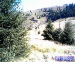 teren-extravilan-de-2615-mp-de-vanzare-in-dambovicioara-podul-dambovitei-arges-2