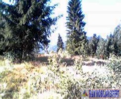 teren-extravilan-de-2615-mp-de-vanzare-in-dambovicioara-podul-dambovitei-arges-3