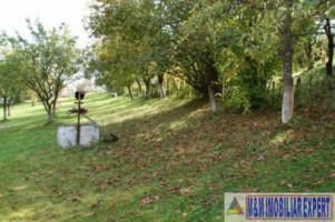 teren-2100-mp-intraextravilan-de-vanzare-in-bughea-de-jos-arges