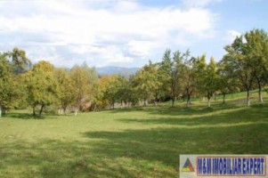 teren-2100-mp-intraextravilan-de-vanzare-in-bughea-de-jos-arges-1
