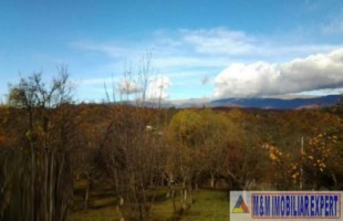 teren-2100-mp-intraextravilan-de-vanzare-in-bughea-de-jos-arges-4