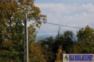 teren-2100-mp-intraextravilan-de-vanzare-in-bughea-de-jos-arges-5