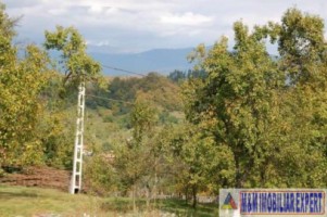 teren-2100-mp-intraextravilan-de-vanzare-in-bughea-de-jos-arges-6