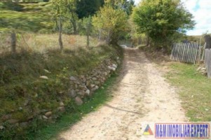 teren-2100-mp-intraextravilan-de-vanzare-in-bughea-de-jos-arges-7