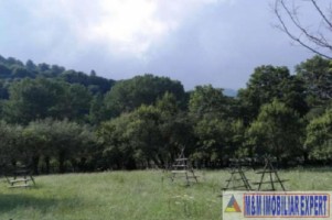 vand-teren-4000-mp-intravilan-de-vanzare-in-stoenesti-arges