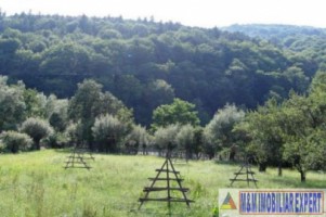 vand-teren-4000-mp-intravilan-de-vanzare-in-stoenesti-arges-1