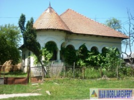 vila-stil-4-camere-cu-teren-de-3500-mp-de-vanzare-in-pietrosani-domnesti-arges-resedinta-unica-intr-o-zona-pitoreasca