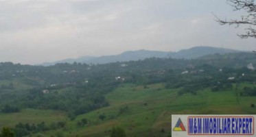 teren-extravilan-6000-mp-de-vanzare-in-stoenesti-arges