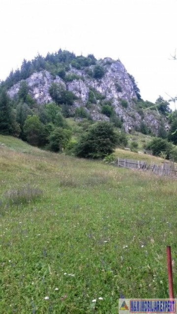 vandut-5