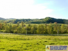 teren-extravilan-15-ha-pasune-de-vanzare-in-draghici-mihaesti-arges-investitii-1