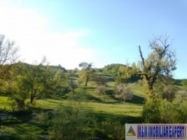 teren-extravilan-15-ha-pasune-de-vanzare-in-draghici-mihaesti-arges-investitii-3