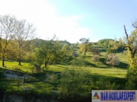 teren-extravilan-15-ha-pasune-de-vanzare-in-draghici-mihaesti-arges-investitii-4