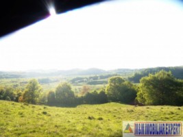 teren-extravilan-15-ha-pasune-de-vanzare-in-draghici-mihaesti-arges-investitii-8