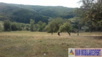 teren-extravilan-15-ha-pasune-de-vanzare-in-draghici-mihaesti-arges-investitii-9