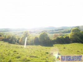 teren-extravilan-15-ha-pasune-de-vanzare-in-draghici-mihaesti-arges-investitii-5
