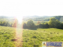 teren-extravilan-15-ha-pasune-de-vanzare-in-draghici-mihaesti-arges-investitii-6