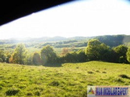 teren-extravilan-15-ha-pasune-de-vanzare-in-draghici-mihaesti-arges-investitii-7