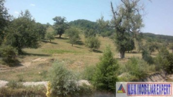 teren-extravilan-15-ha-pasune-de-vanzare-in-draghici-mihaesti-arges-investitii-10