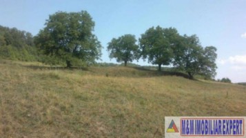 teren-extravilan-15-ha-pasune-de-vanzare-in-draghici-mihaesti-arges-investitii-11