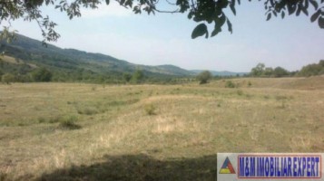 teren-extravilan-15-ha-pasune-de-vanzare-in-draghici-mihaesti-arges-investitii-12