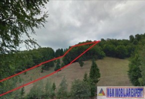 teren-extravilan-6128-mp-de-vanzare-in-ciocanu-plaiul-oii-dambovicioara-arges-ideal-pentru-proiecte-agricole-si-recreative-1