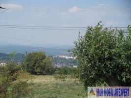 teren-faneata-extravilan-de-vanzare-11-ha-in-cretisoara-campulung-muscel-arges-ideal-pentru-agricultura-si-investitii-1