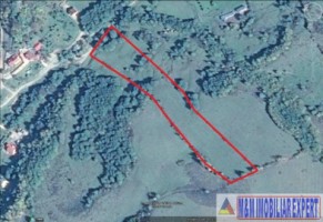teren-faneata-extravilan-de-vanzare-11-ha-in-cretisoara-campulung-muscel-arges-ideal-pentru-agricultura-si-investitii-2