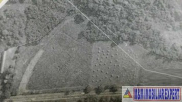 teren-extravilan-de-5000-mp-cu-deschidere-de-70-m-la-drum-national-potrivit-pentru-constructii-comerciale-sau-rezidentiale-valea-mare-pravat-arges