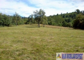 eren-extravilan-109-ha-faneata-de-vanzare-in-bughea-de-sus-arges-ideal-pentru-activitati-agricole