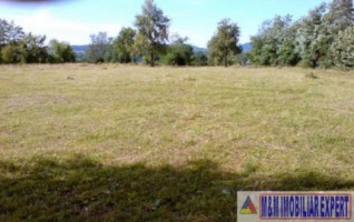eren-extravilan-109-ha-faneata-de-vanzare-in-bughea-de-sus-arges-ideal-pentru-activitati-agricole-1