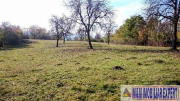 eren-extravilan-109-ha-faneata-de-vanzare-in-bughea-de-sus-arges-ideal-pentru-activitati-agricole-2
