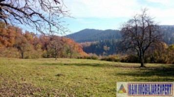 eren-extravilan-109-ha-faneata-de-vanzare-in-bughea-de-sus-arges-ideal-pentru-activitati-agricole-3