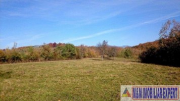 eren-extravilan-109-ha-faneata-de-vanzare-in-bughea-de-sus-arges-ideal-pentru-activitati-agricole-4