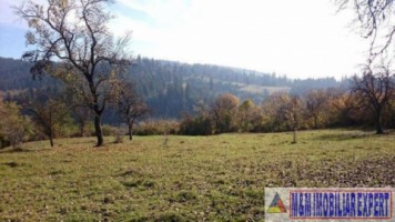 eren-extravilan-109-ha-faneata-de-vanzare-in-bughea-de-sus-arges-ideal-pentru-activitati-agricole-5