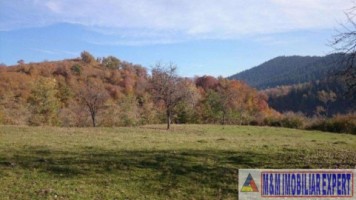 eren-extravilan-109-ha-faneata-de-vanzare-in-bughea-de-sus-arges-ideal-pentru-activitati-agricole-6